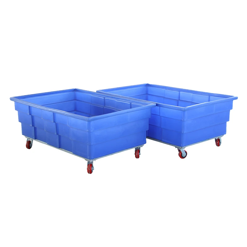 product-800-800