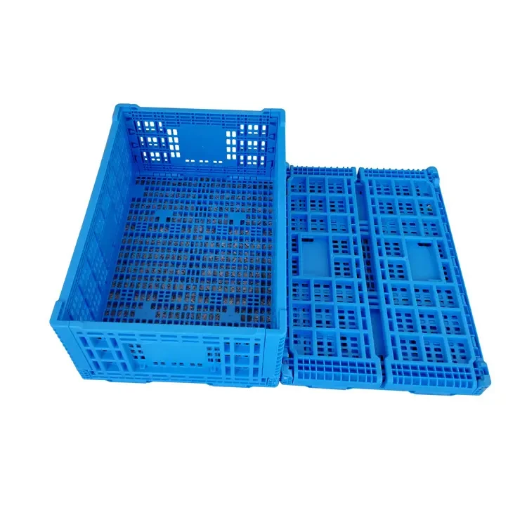 product-750-750 product-750-750